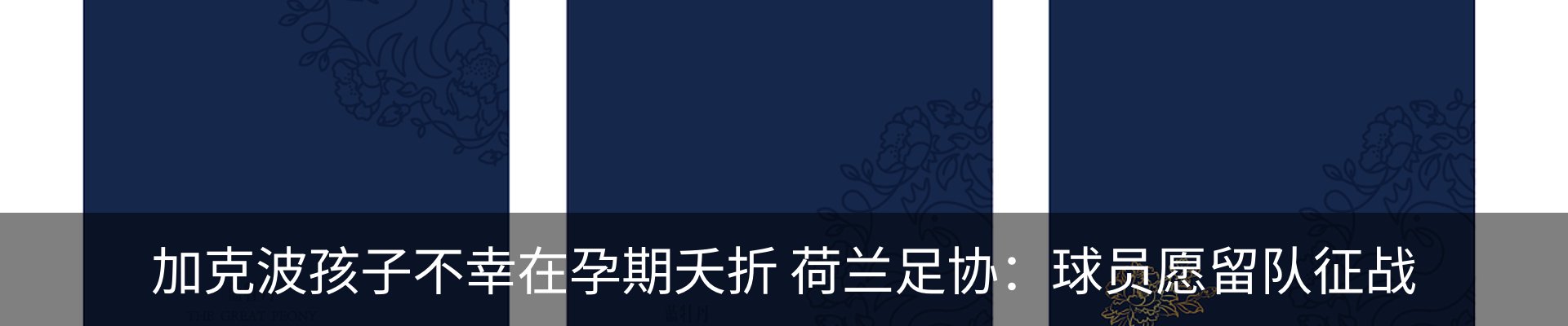 资讯动态